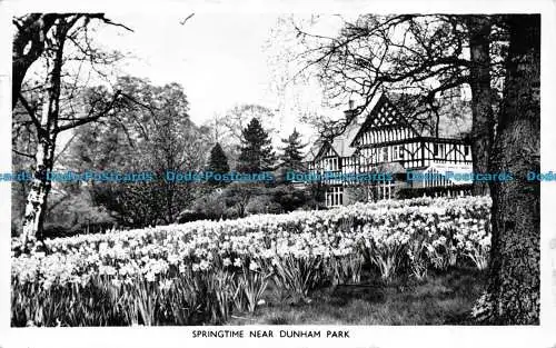 R076233 Frühling in der Nähe von Dunham Park. RP. 1965