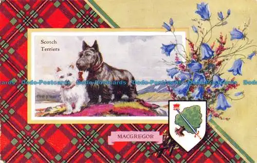 R077859 Scotch Terrier. Macgregor. Clan Crest Serie. Valentinstag