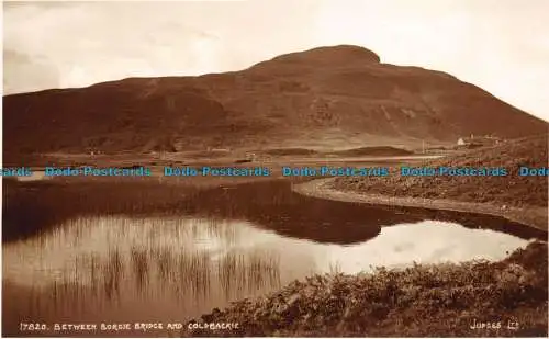 R078052 17820. Zwischen Borgie Bridge und Coldbackie. Richter