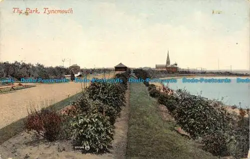 R078223 Der Park. Tynemouth. Grahams Serie. Morpeth Nr. 313