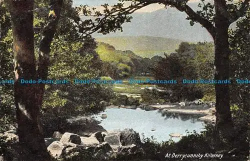 R078393 in Derrycunnihy Killarney. W. Lawrence