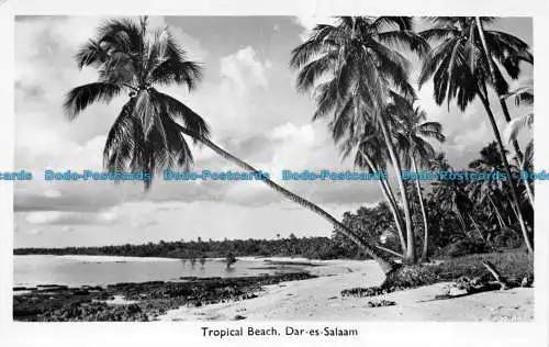 R079341 Tropischer Strand. Dar es Salaam. A.C. Gomes