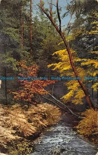 R079397 Landschaft. Photochromie. Serie 187. Nein. 3227. 1914