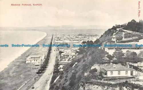 R079012 Marineparade. Napier. Sorrell. Foto. John Chadwick