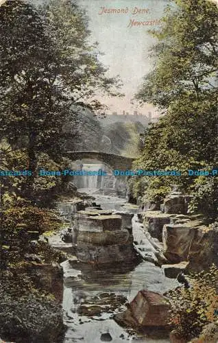 R079435 Jesmond Dene. Newcastle