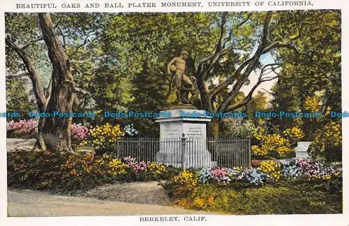 R079634 Schönes Eichen- und Ballspieler-Denkmal. Universität von Kalifornien. Berke