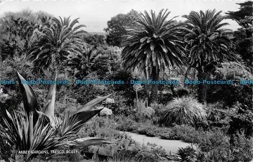 R080197 Abteigärten. Tresco. Scilly. James Gibson. RP. 1960