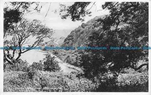 R079795 Luccombe China Birne Shanklin. I. W Nigh