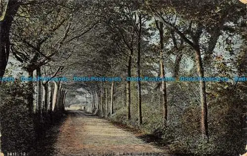 R079823 La Hogue Lane. Trikot. Hartmann. 1907