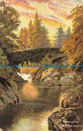 R080378 Pont Y Paar. Bettws Y Coed. S. Hildesheimer. Nein. 5321. 1905