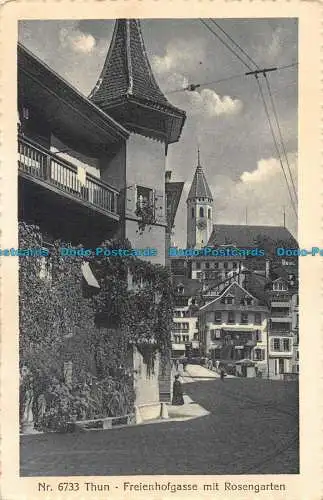 R080386 Nr. 6733 Thun. Freienhofgasse mit Rosengarten. A.G