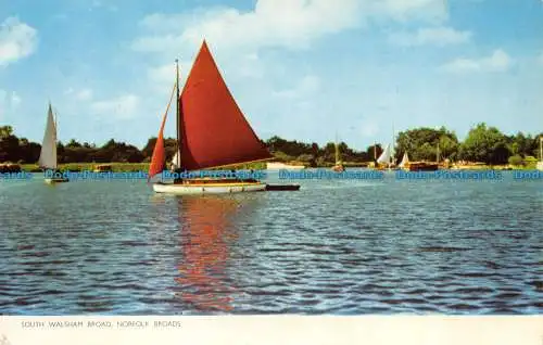 R081720 South Walsham Broad. Norfolk Broads. Cotman Color Serie. Jarrold