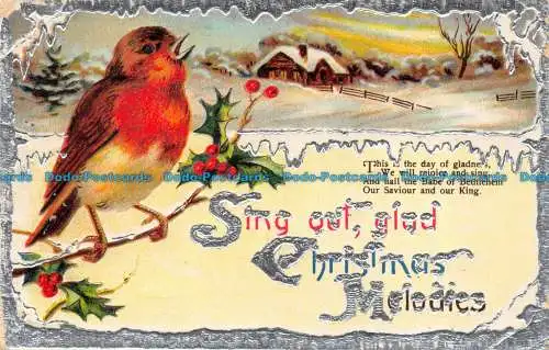 R082177 Singen Sie frohe Weihnachtsmelodien. Winterszene. Ein Vogel