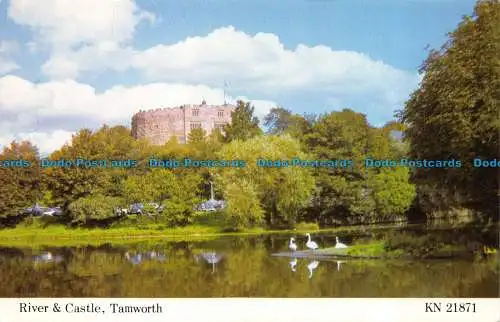 R081836 Fluss und Burg. Tamworth. Kingsley