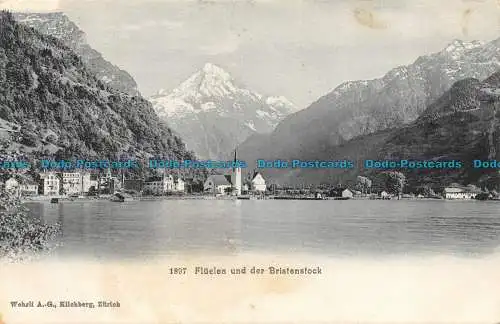 R081074 Fluen und der Bristenstock. Wehrli