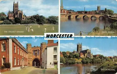 R081906 Worcester. Lachs. 1964. Multi View