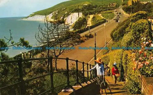 R081907 Strandkopf von South Cliff. Eastbourne. D. Constance Limited. 1974