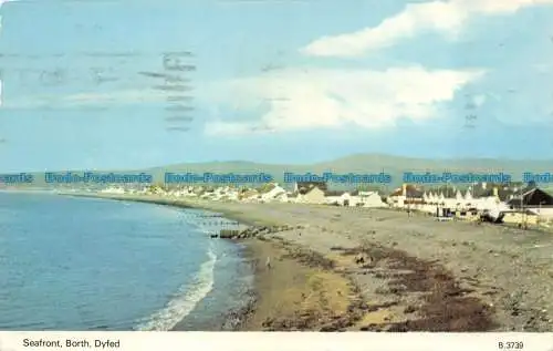 R081979 am Meer. Borth. Gefärbt. Dennis. 1987