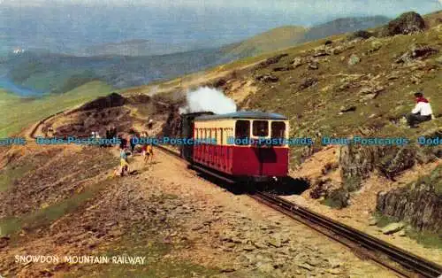 R082460 Snowdon Bergbahn. Lachs