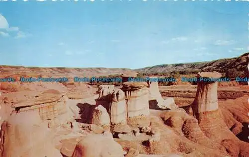 R082938 Eine Gruppe der bekannten Drumheller Hoodoos