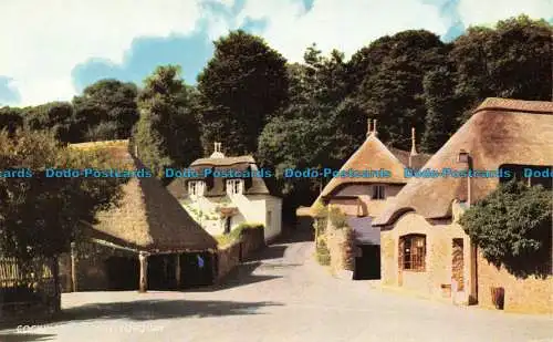 R082472 Cockington Forge. Torquay. Lachs