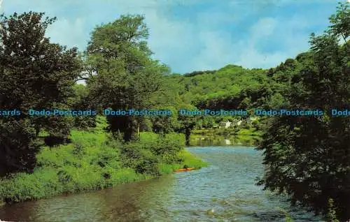 R082060 River Wye Stromschnellen bei Symonds Yat. 1978