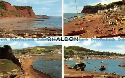 R082081 Shaldon. Multi-View. Lachs. 1969