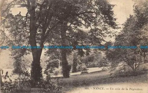 R084187 Nancy. Eine Ecke der Baumschule. Nr. 103. 1923