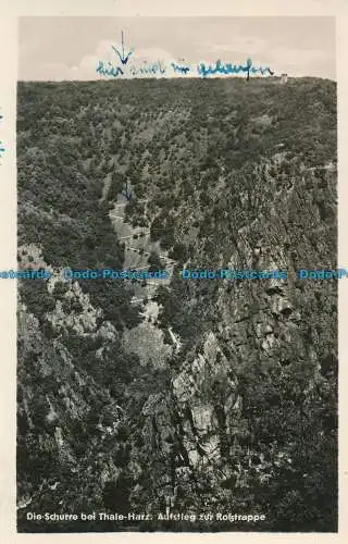 R084385 Die Schurre beim Thale Harz. Aufstieg zur Rotztrappe. Albert Krebs. Nr. 52