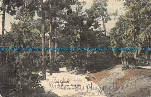 R084959 Arcachon. Place des Palmiers. Winterstadt. 1910