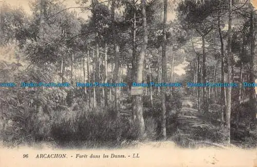 R084963 Arcachon. Bohrer in den Dünen. LL. Nr. 96