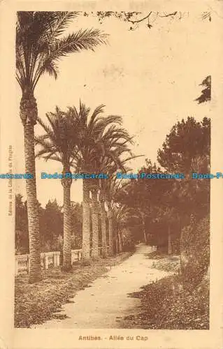 R085328 Antibes. Allee du Cap. B. Brüder