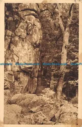 R085334 Abtei von Pierre Qui Vire. Die Felsen des Kreuzwegs. 1945