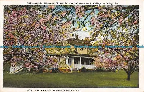 R085830 Apfelblütenzeit im Shenandoah Valley von Virginia. Eine Szene in der Nähe von Wi