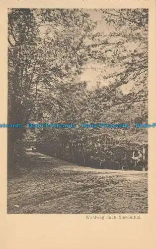 R014036 Waldweg nach Biesenthal. W. Neumann. B. Hopkins