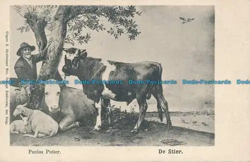 R037542 Paulus Potter. De Stier. S. Abrahamson