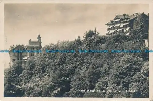 R037611 Mont Fleuri und La Colline sur Territet. Perrochet Matile. 1928. B. Hopki