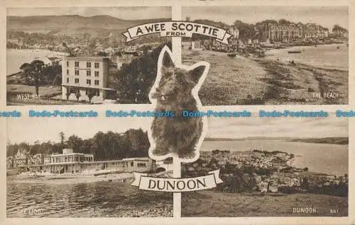 R037667 Ein Wee Scottie von Dunoon. Multi-View. Henderson. 1950