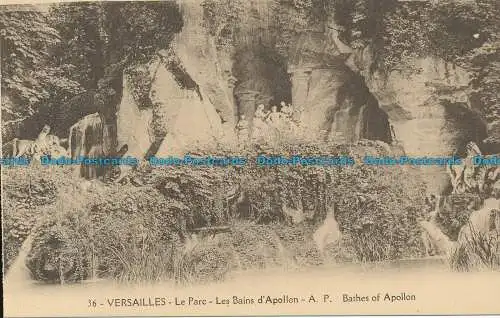 R038353 Versailles. Bäder des Apollon. A. Papeghin. Nr. 36