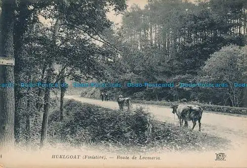 R038489 Huelgoat. Straße nach Locmaria. Neurdein