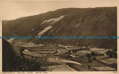 R039277 Aberystwyth. Rheidol Valley. Weißer Hirsch. Photochrom