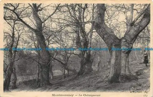 R084922 Montmorency. La Chatagneraite