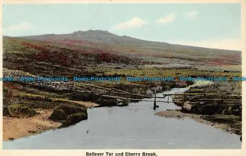 R086704 Bellever Tor und Kirschbroken. Chapman. Britische Produktion im gesamten Gebäude.