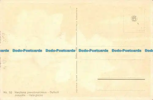 R087391 Nr. 32. Narcisuss Pseudonarcissus. Stehli