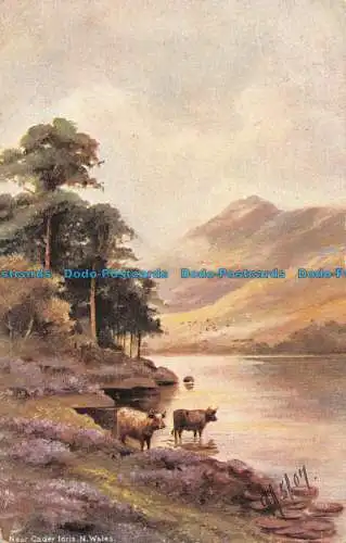 R086750 Near Cader Idris. N. Wales. B. B. London Seriennr. A2. 1907