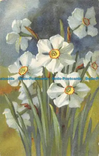 R086864 Blumen. Malerei. Postkarte