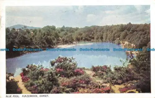 R086952 blauer Pool. Furzebrook. Dorset. Fotokunst. 1953