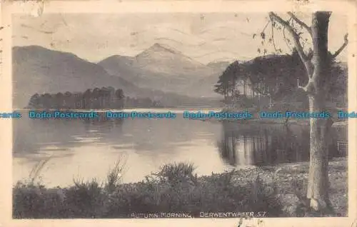 R087007 Herbstmorgen. Derwentwater. Maysons Serie. 1933