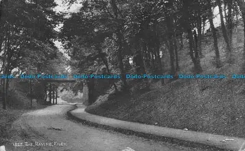 R088293 1523. Die Schlucht. Filey. Sepio Serie. Lachs. 1924