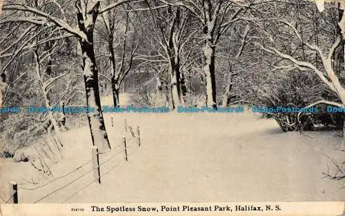 R088837 Der makellose Schnee. Point Pleasant Park. Halifax. N.S.J.R. Findlay. 19